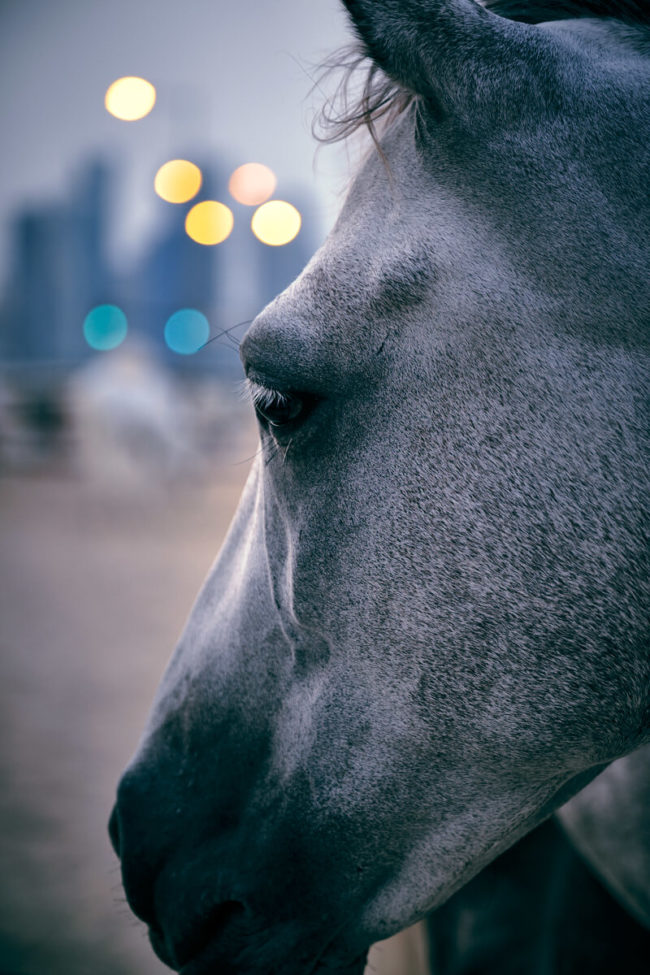 that-look-Kiran31-web