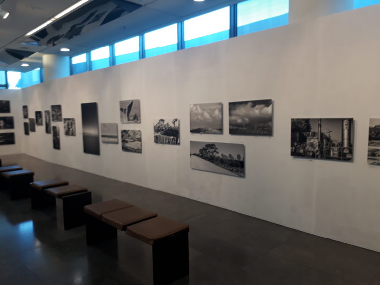 Platypus trail at Michael Cacoyannis foundation