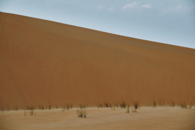Desert-Colors-Kiran-03