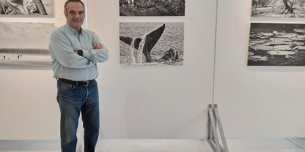 Paterakis Ioannina Green Project 1